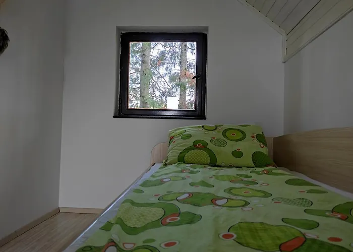 Vila Hajdi Planina Tara