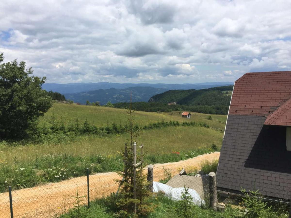 Hajdi Planina Tara Vilă *