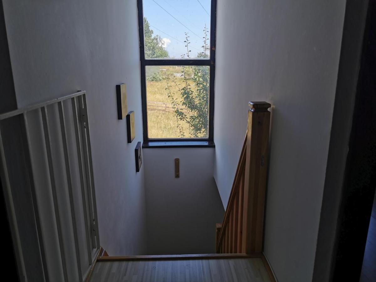 Hajdi Planina Tara Vilă