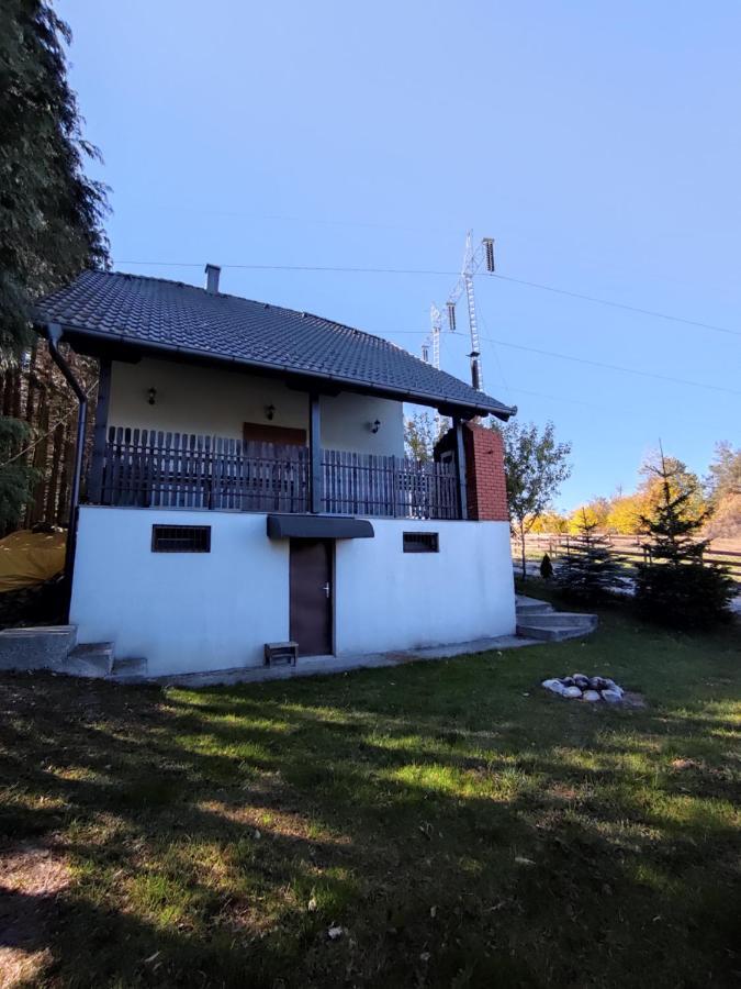 Hajdi Planina Tara Vilă