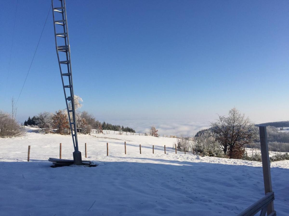 Hajdi Planina Tara
